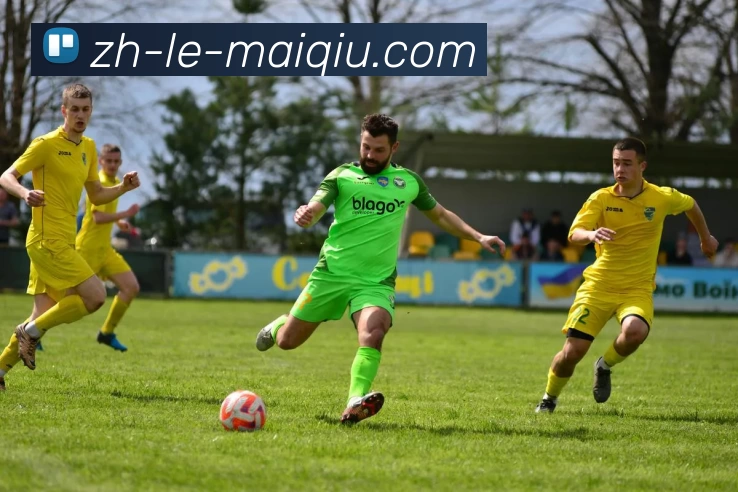 买球线上官方平台生态图